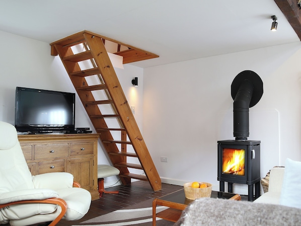 TV, fireplace - Snug, traditional and romantic perfect for that weekend getaway. (Icklesham)