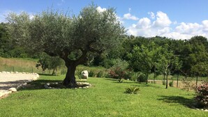 A large tree in a grassy area with a stone border and a fence in the background. - Holiday Home Picciano Near Medieval Towns (Picciano)