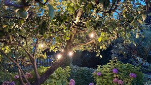 A garden with trees bearing green fruits and purple flowers, illuminated by string lights. - Rural house Pontevedra. Pool, garden and barbecue (Vilaboa)