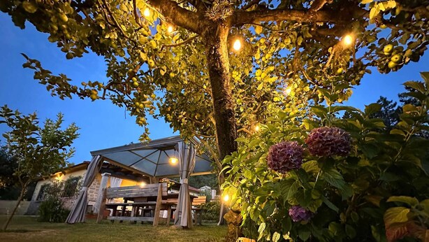 A tree with hanging lights and hydrangeas in front of a building with a glass roof. - Rural house Pontevedra. Pool, garden and barbecue (Vilaboa)