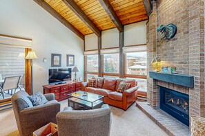 TV, fireplace, DVD player, books