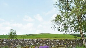 A rural landscape with a stone wall, gravel path, and a tree with green leaves. - 2 bedroom accommodation in Alnham, near Rothbury (Alnham, near Rothbury)