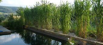 Luxuriose Ferienwohnung in Bad Pyrmont