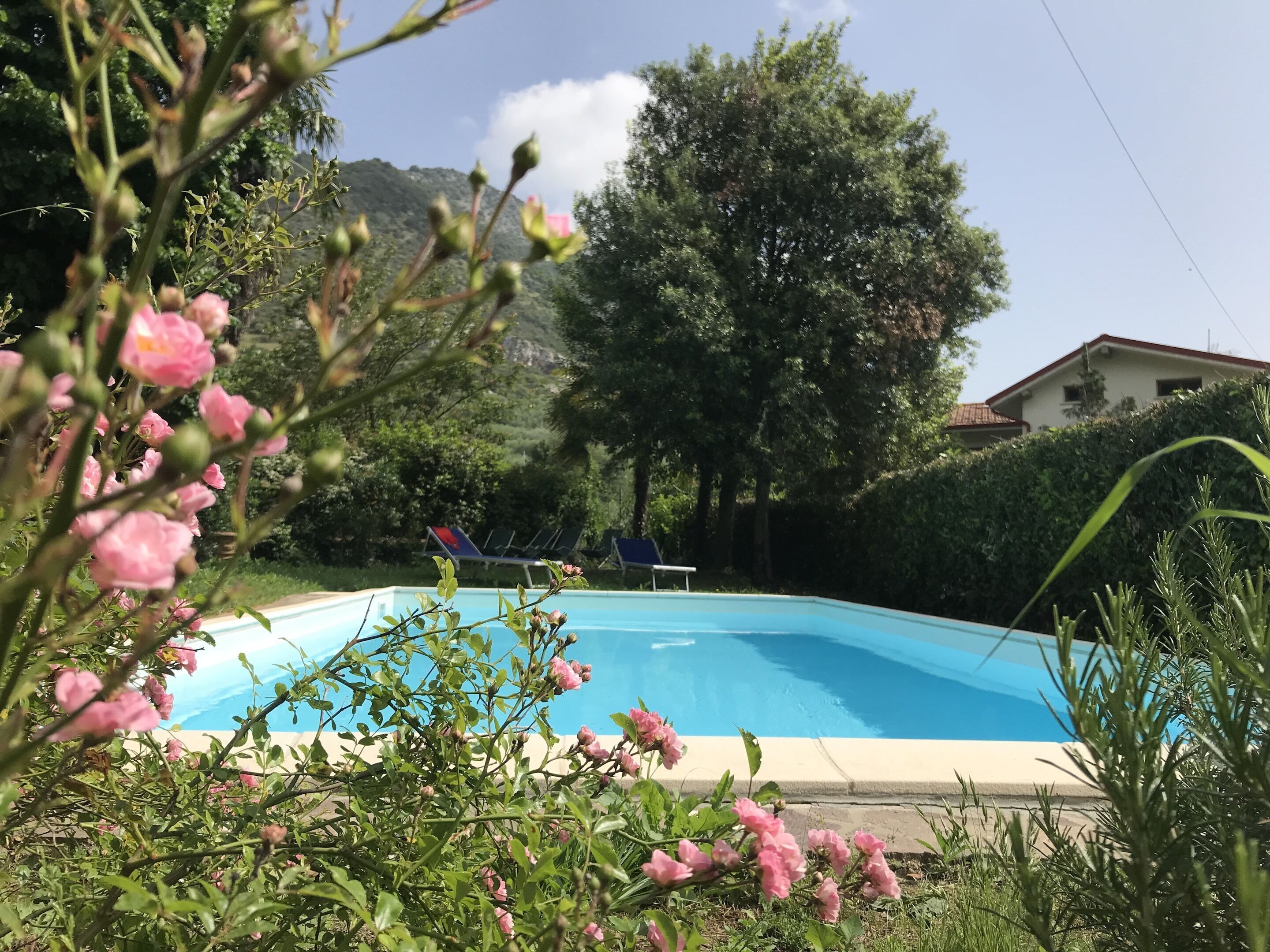 Cottage | Interior detail