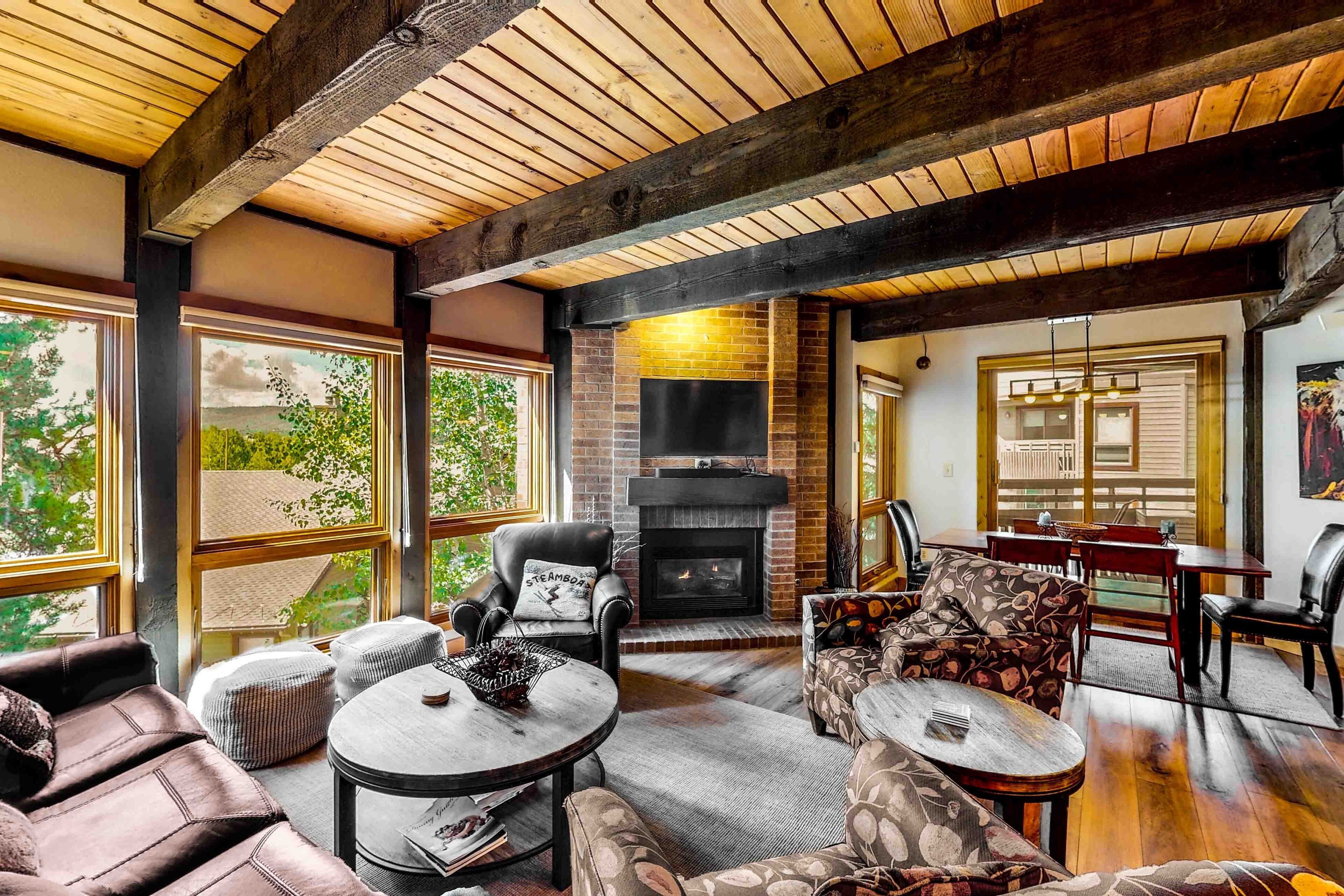 TV, fireplace, DVD player