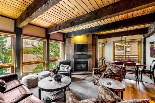 TV, fireplace, DVD player