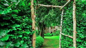Reception - Cozy Cottage in Hubermont near Town Center (La Roche-en-Ardenne)