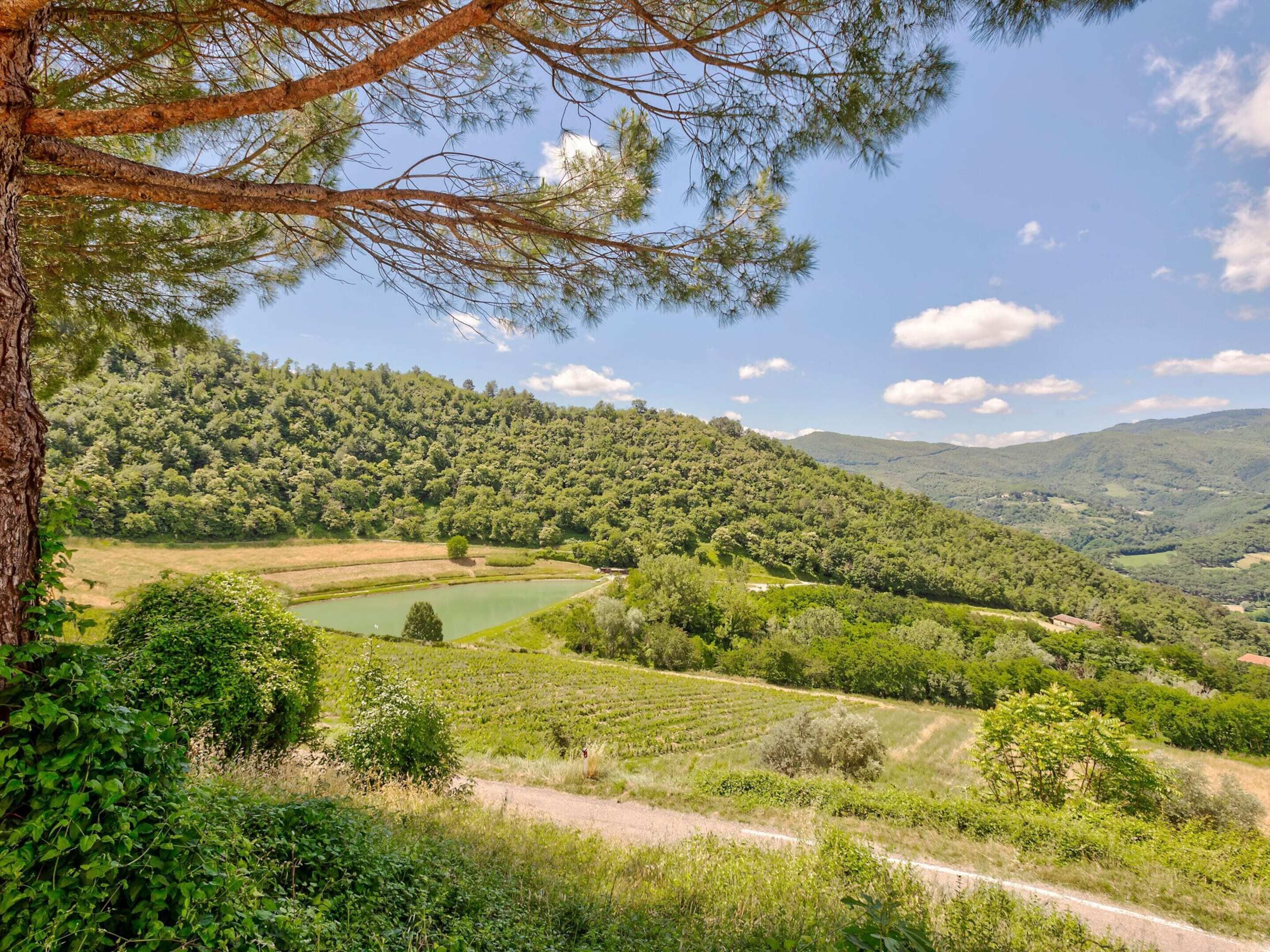 A lush valley with a clear lake, surrounded by dense forests and hills.