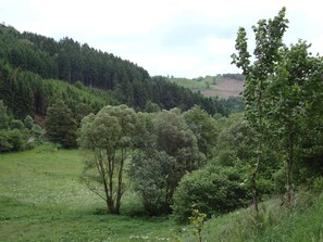 Departamento | Vista desde la propiedad