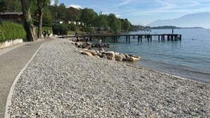 Ein Kiesstrand mit einer hölzernen Pier, die sich in ruhiges Wasser erstreckt, umgeben von Bäumen und Gebäuden.
