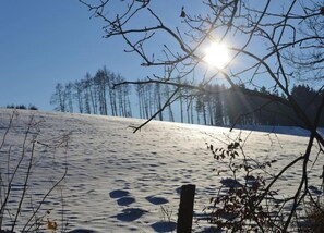 Cottage | View from property - Group Cottage in Lierneux (Lierneux)