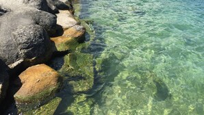 A rocky shoreline with clear water. - Apartment in Manerba Near Lake Garda (Manerba del Garda)