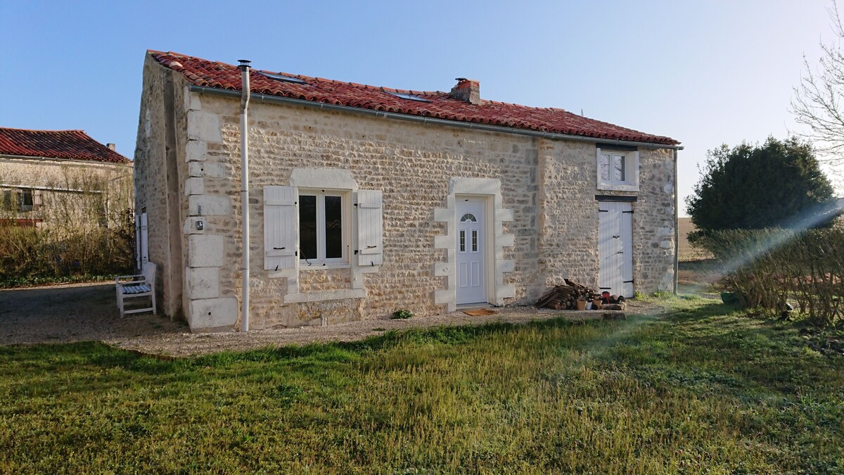 Imagen de perfil del propietario o de la propietaria