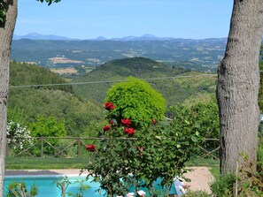 Pool - Stunning Holiday Home in Umbria with Hot Tub (Monte Santa Maria Tiberina)
