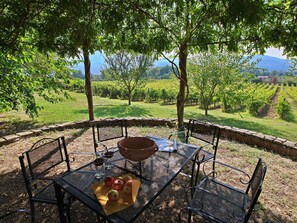 House | Dining - Farmhouse in Umbertide Near Golf Club (Umbertide)