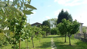 A stone pathway leading through a grassy area with young trees and a building in the background. - Modern Accommodation, Just Renovated, Private Garden, Wifi, Near Treviso (Volpago del Montello)
