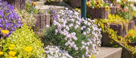 Apartment | Exterior