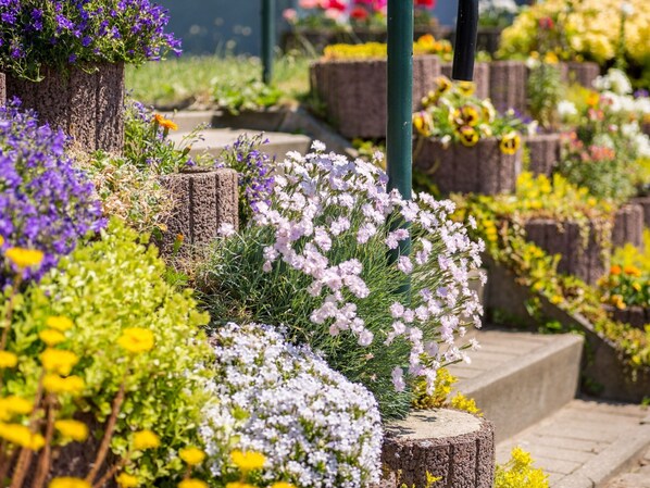 Apartment | Außenbereich