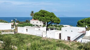 Un pueblo costero con edificios blancos, un árbol destacado y vista al mar.