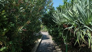 Un sendero bordeado por follaje denso y un muro de piedra, que conduce a un jardín.