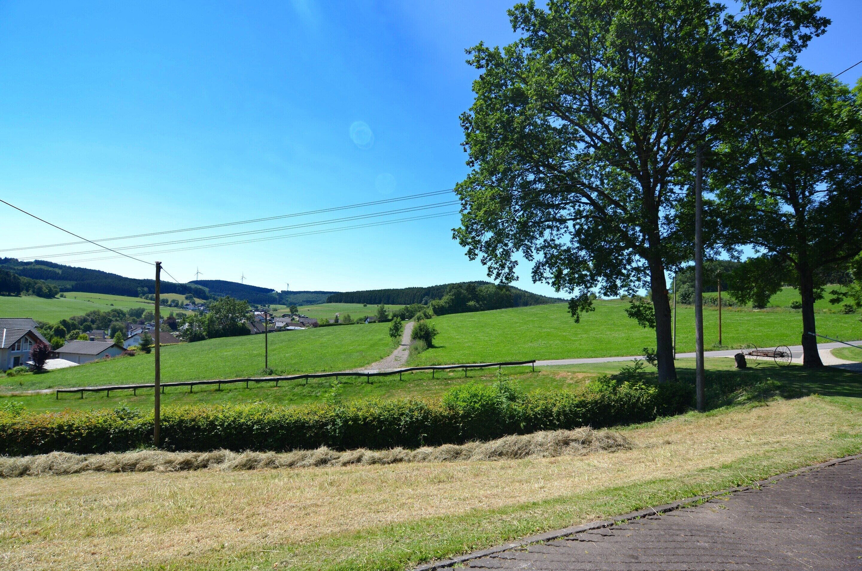 A rural landscape with a clear sky, a large tree, and a path leading through a green field.