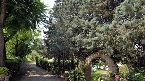 Un chemin de gravier traverse un jardin agrémenté d’une arche en pierre, et est bordé de différents arbustes et arbres en pot.