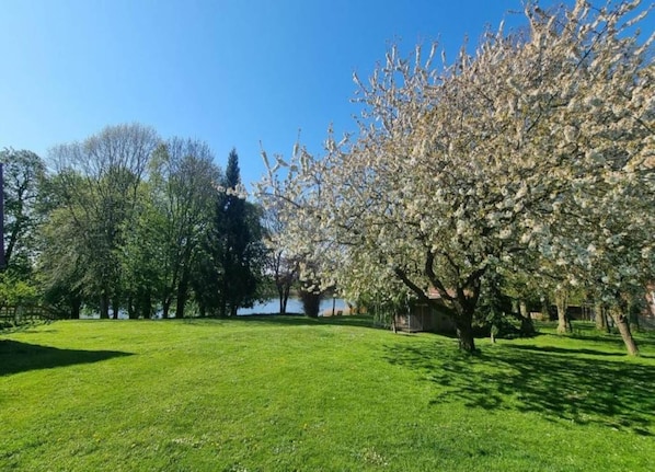 Apartment | View from property - Geraeumige Ferienwohnung in Boddin mit Garten (Walkendorf)