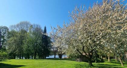 Geraeumige Ferienwohnung in Boddin mit Garten