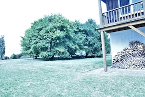 A grassy area with a large tree and a stack of firewood.