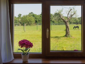 House | View from property - Attractive Holiday Home with Pool, Hot Tub, Patio, Courtyard (Vodnjan)
