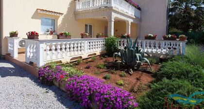 Spacious Holiday Home in Kremenici With Terrace