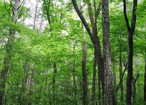 Ferienhaus | Blick von der Unterkunft