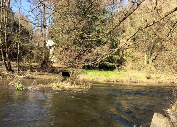 الإطلالة من المنشأة