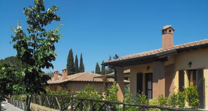 Luxury Holiday Home in Val D'orcia With Swimming Pool