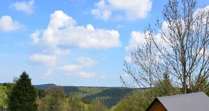 Small and Cozy Apartment in Frauenwald near Forest