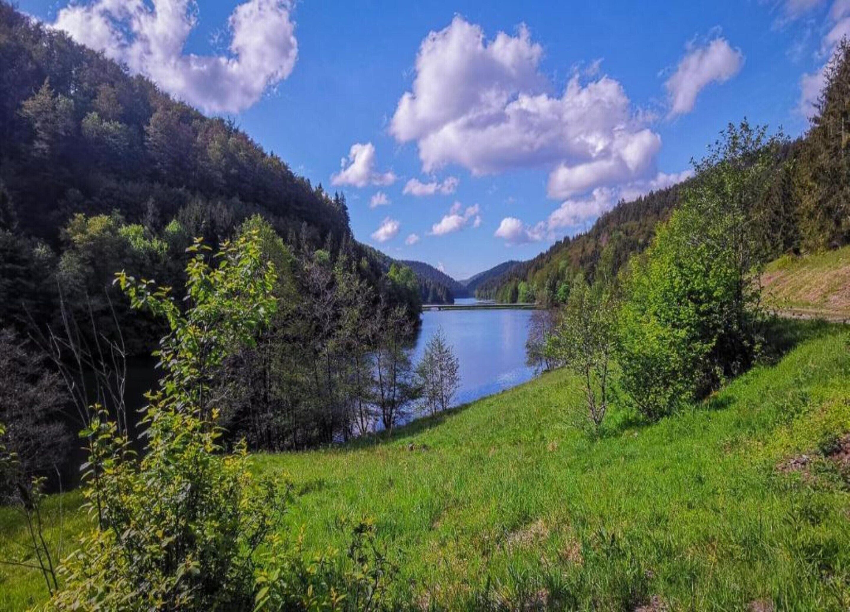 A serene lake surrounded by lush greenery and mountains.