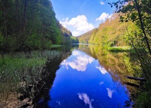 Leilighet | Utsikt fra overnattingsstedet