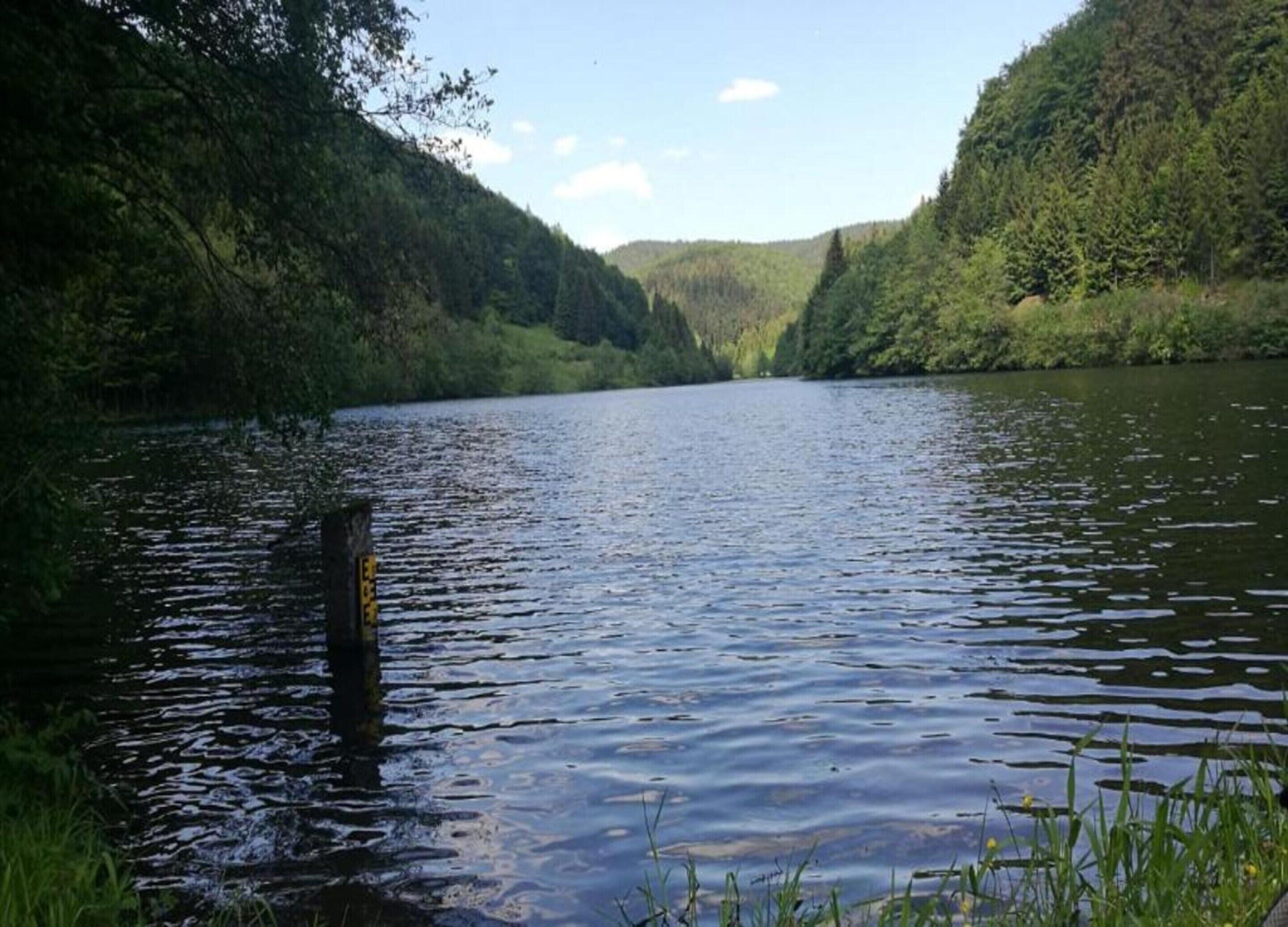 A calm river surrounded by dense forest.