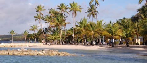 Plage à proximité