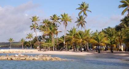 Charming T2 ââ Le Colibri ââ rez de jardin fleuri tout confort Ă  Ste Anne Wifi