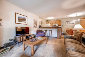 TV, fireplace, books, stereo