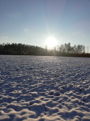 Nicht klassifiziertes Bild, 2 von 35, Schaltfläche