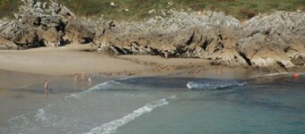 Buganvilla. Rural leilighet The Villahormes Hospital.