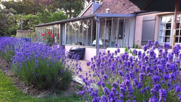 Ein Haus mit Wintergarten, umgeben von einem Garten mit violetten Blumen.