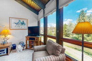 Fernseher, Kamin, DVD-Player, Streaming-Dienste