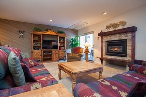 TV, fireplace, DVD player