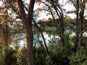 Une vue paisible sur un lac, avec une végétation luxuriante et un bâtiment visible au loin.