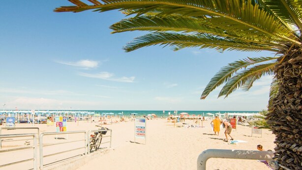 Une plage avec des parasols, un palmier et un panneau indicateur.