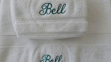Hair dryer, bidet, towels, soap