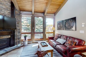 TV, fireplace, DVD player, books